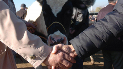 Normalleşmeyle kurban pazarlığında tokalaşma devri geri geldi