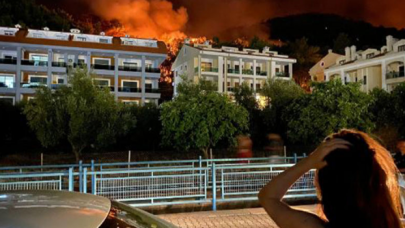 Orman yangınlarının araştırılması için özel ekip kuruldu