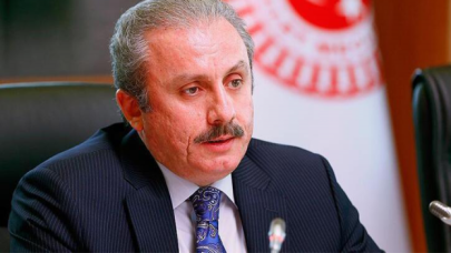 TBMM Başkanı Şentop'tan Hayvanları Koruma Kanunu'nu açıklaması