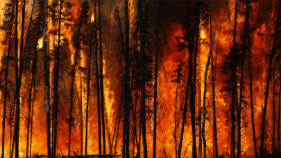 Yangınlarda son durum: 71 yangından 66’sı kontrolde