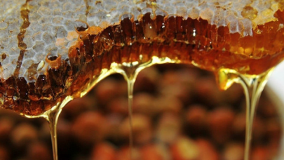 Anzer balının kilogram fiyatı belli oldu