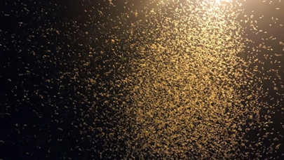 'Bir günlükler'in ölüm uçuşu başladı