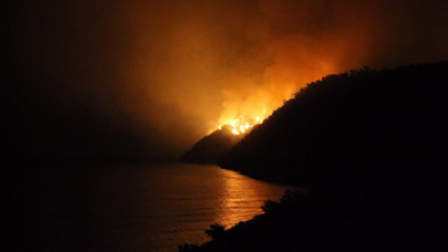 Boğaziçi'nden Prof. Saysel: Sellerle yangınlar birbirinden bağımsız değil