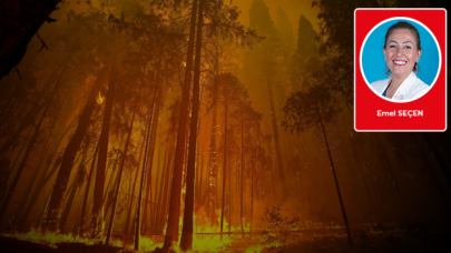 Emel Seçen kaleme aldı: İnsanlaşma