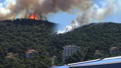 Heybeliada'da orman yangını!