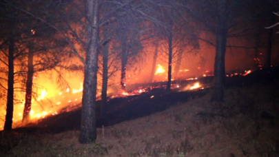 Kazdağları'nda orman yangını