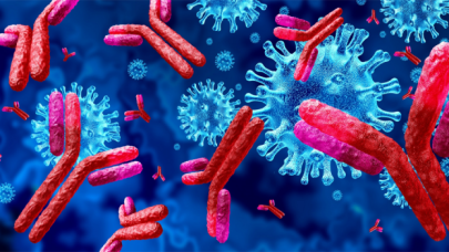 Koronavirüs aşısı olanlarda antikor düzeyi araştırılıyor