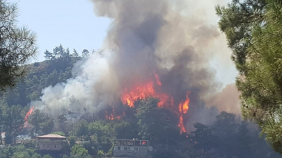 Manavgat'taki yangın kontrol altına alındı!