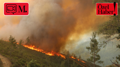 Munzur Koruma Kurulu Başkanı'ndan basına açıklama