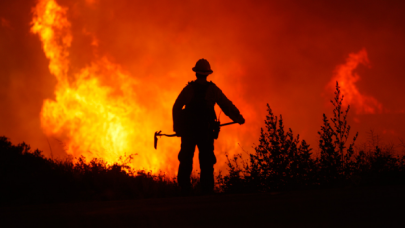 Orman yangınları neden artıyor, hangi yıkıcı sonuçları beraberinde getiriyor?