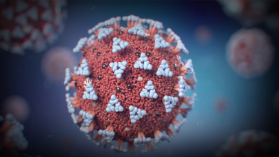 Rapor: "Virüs biyolojik silah olarak geliştirilmedi"