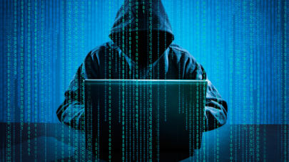 "Tarım ve Orman Bakanlığına yapılan siber saldırıda çok önemli veriler çalındı"