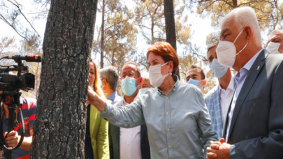 "Yangından zarar gören ağaçlarımızın yerine beton dikilmesine fırsat vermeyeceğim"