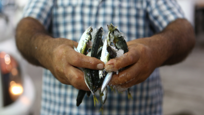 Av yasağı kalktı balıkçılar "vira bismillah" diyerek sezonu açtı!