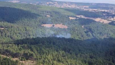 Balıkesir İvrindi'de orman yangını!