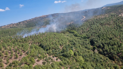 Balıkesir'de ormanlık alanda çıkan yangın kontrol altına alındı