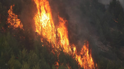 Bingöl’deki orman yangını 5'inci günde: Alevler ilçe merkezine ilerliyor!