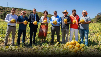 Çeşme kavununa "coğrafi işaretli ürün" tescili