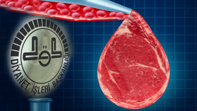 Diyanet'ten "yapay et" açıklaması