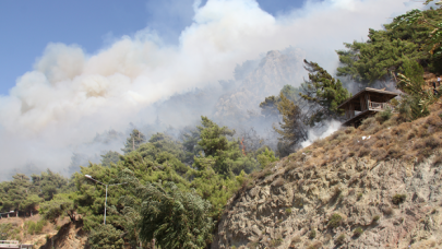 Hatay'da orman yangını!