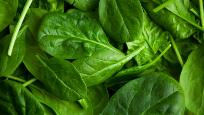 "Ispanak yaprakları"nın yaraların iyileşmesini hızlandırabileceği kanıtlandı