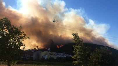 İzmir Dikili'de orman yangını