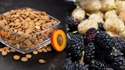 Kayısı çekirdeği ve duttan glütensiz bisküvi üretildi