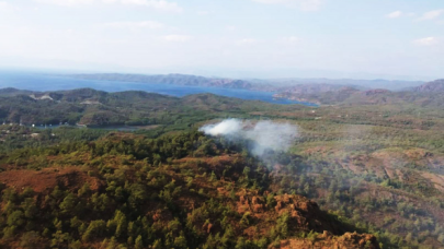 Muğla Marmaris'te orman yangını!