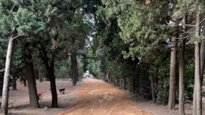 Validebağ Korusu'nda neler oluyor?