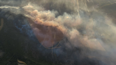 Dalaman'da gece çıkan orman yangını kontrol altına alındı