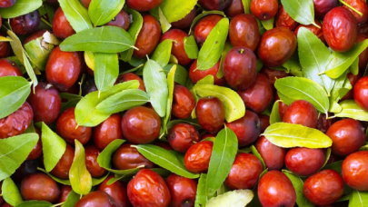 "Hünnap" namı değer Çin hurması