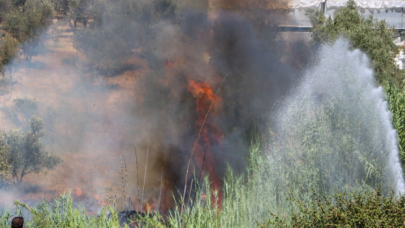 İzmir'de otluk alanda çıkan yangın ormana sıçradı