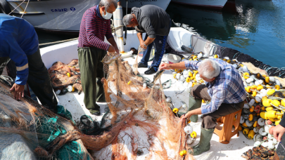 Marmara'da lüfer bolluğu yaşanıyor, fiyatı 30-35 liraya kadar düştü