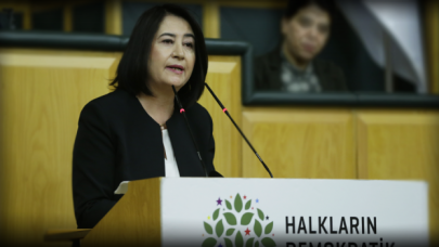 HDP Milletvekili Pekgözegü'den "Deniz Poyraz" açıklaması