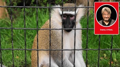İnanç Uysal yazdı: Nasıl idare ediliyoruz?