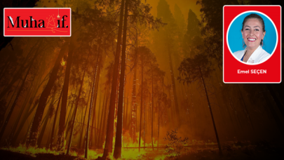 Emel Seçen kaleme aldı: "İnsanlaşma"