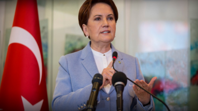 Meral Akşener'den "Çin modeli" tepkisi!