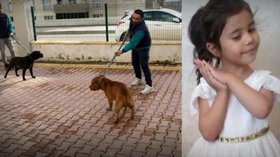 Pitbull saldırısına uğrayan Asiye Ateş yoğun bakımdan çıktı