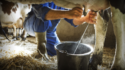 Süt üreticisi, marketlerdeki litre fiyatına isyan etti!