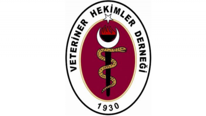 Veteriner Hekimler Derneği'nden sokak hayvanları açıklaması