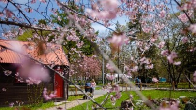21 Mart Ekinoksu nedir? (21 Mart İlkbahar Ekinoksu hakkında bilmeniz gerekenler)