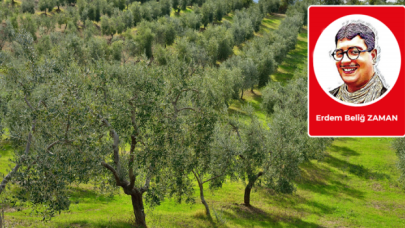 "Bir konu bir kıta"