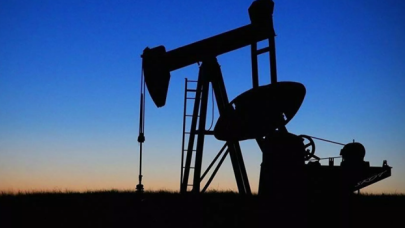 TPAO, Adana'da petrol arayacak