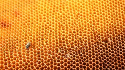 Türkiye bal ihracatından iki ayda 7 milyon dolar kazandı