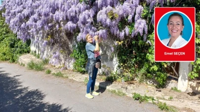 Emel Seçen kaleme aldı: Evren söyler