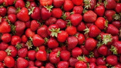 ABD ve Kanada'da Hepatit A endişesiyle çilekler toplatılıyor