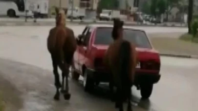Aracına iple bağladığı 2 atı otomobille çeken sürücüye ceza