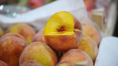 Çanakkale'nin 'Lapseki şeftalisi'ne coğrafi işaret tescili