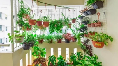 Fiyatlar arttı, balkonlar sebze-meyve bostanına döndü