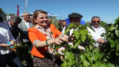 Kocaeli İzmit Belediyesi  İpek Böceği Besleme Evi’ni hizmete açtı